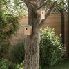 Product Thumbnail Image 2 of 10