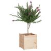 vidaXL Garden Planter 50x50x50 cm Solid Pinewood