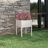 Product Thumbnail Image 2 of 7