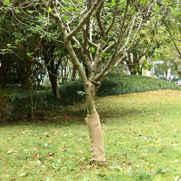 Showing Product Image 2 of 7