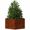 Product Thumbnail Image 7 of 11