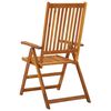 vidaXL Garden Reclining Chairs 2 pcs Solid Acacia Wood