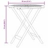 Product Thumbnail Image 13 of 13