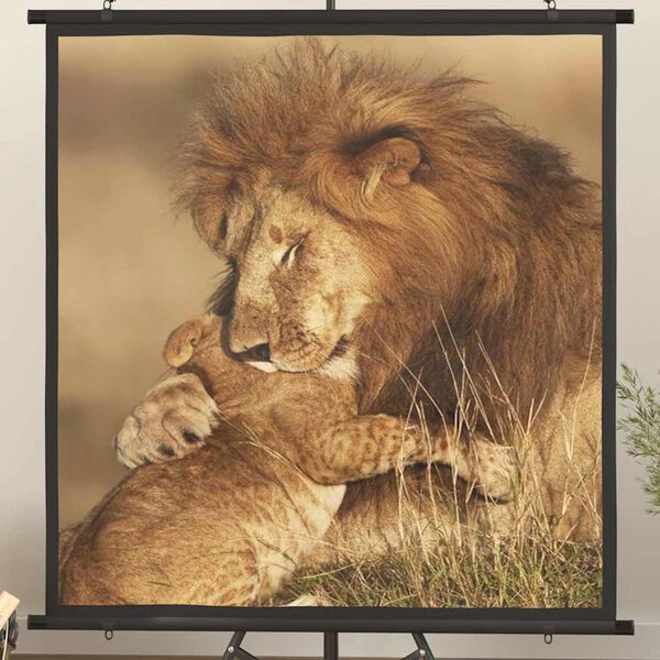 Showing Product Image 2 of 7
