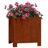 Product Thumbnail Image 3 of 11