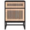 vidaXL Bedside Cabinets 2 pcs Black 40x30x55.5 cm Engineered Wood&Iron