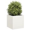 Product Thumbnail Image 2 of 9
