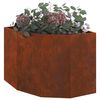 Product Thumbnail Image 3 of 14