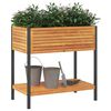 Product Thumbnail Image 3 of 9