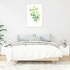 vidaXL Bedside Cabinets 2 pcs White 40x39x40 cm