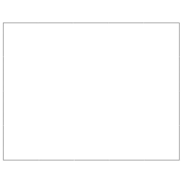 vidaXL Dog Kennel Silver 20 m² Steel