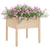 Product Thumbnail Image 3 of 7