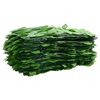 vidaXL Balcony Screen with Green Leaves 600x75 cm