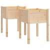 vidaXL Planter | Set of 2 | Natural wood | Solid pinewood | Medium | Planter