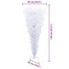 Product Thumbnail Image 12 of 12
