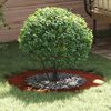 Product Thumbnail Image 2 of 11