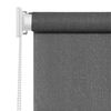 vidaXL Outdoor Roller Blind 60x230 cm Anthracite