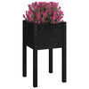 vidaXL Garden Planters 2 pcs Black 40x40x70 cm Solid Pinewood