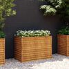 vidaXL Garden Raised Bed 100 x 50 x 69 cm