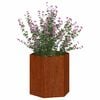 Product Thumbnail Image 7 of 11