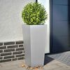 Product Thumbnail Image 2 of 13