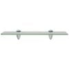 vidaXL Floating Shelf Glass 40x20 cm 8 mm