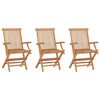 vidaXL Folding Chairs 3 pcs Solid Teak Wood
