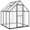 vidaXL Greenhouse with Base Frame Anthracite 169x169x195 cm Aluminium