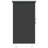 vidaXL Outdoor Roller Blind 140x250 cm Anthracite