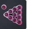 vidaXL Folding Beer Pong Table with Cups and Balls 240 cm