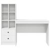 vidaXL Desk with Drawer 2 pcs White