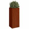 Product Thumbnail Image 3 of 11