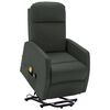 vidaXL Stand up Massage Chair Anthracite Faux Leather