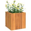 Product Thumbnail Image 4 of 9