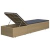 vidaXL Sunlounger Poly Rattan Brown and Dark Grey