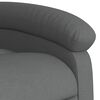 vidaXL Recliner Chair Dark Grey Fabric