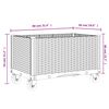 Product Thumbnail Image 7 of 7