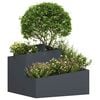 Product Thumbnail Image 3 of 9