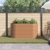 vidaXL Raised Bed Brown 160 x 80 x 81 cm Steel