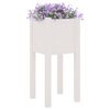 vidaXL Garden Planters 2 pcs White 31x31x70 cm Solid Pinewood