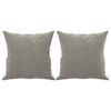 vidaXL Throw Pillows 2 pcs Light Grey 40x40 cm Velvet