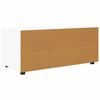 vidaXL TV Cabinet with Drawer White 100 x 48 x 43 cm Engineered Wood