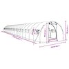 vidaXL Greenhouse with Steel Frame Green 66 m&sup2; 22x3x2 m