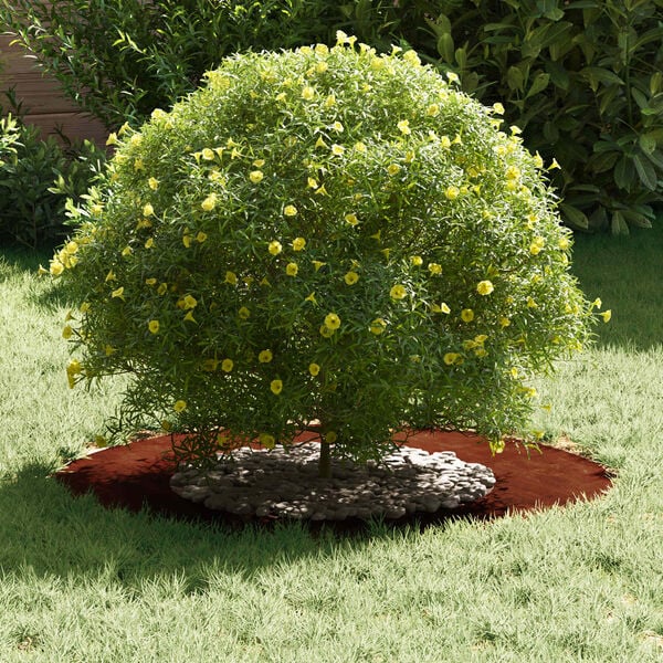 vidaXL suitable for Flat Tree Rings 5 pcs Brown &Oslash;40 / 70 cm