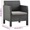 vidaXL 2 Piece Garden Lounge Set with Cushions PP Rattan Anthracite