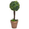 Product Thumbnail Image 2 of 6