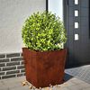 Product Thumbnail Image 2 of 14