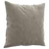 vidaXL Throw Pillows 2 pcs Light Grey 40x40 cm Velvet