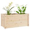 vidaXL Garden Planters 2 pcs 100x50x50 cm Solid Pinewood