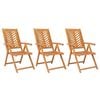 vidaXL Reclining Garden Chair | Set of 3 | Natural wood | Solid acacia wood